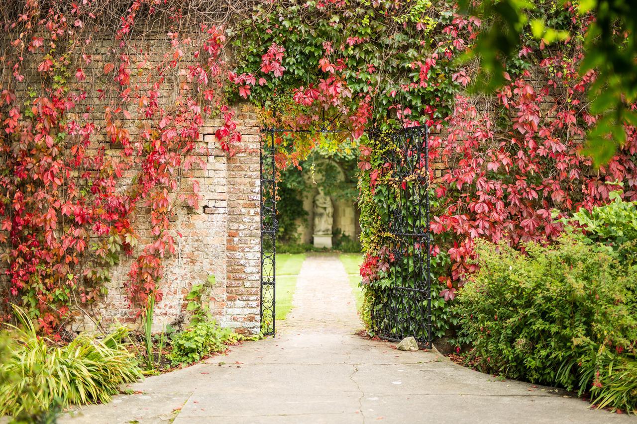 Eastwell Manor, Champneys Hotel & Spa Ashford  Kültér fotó